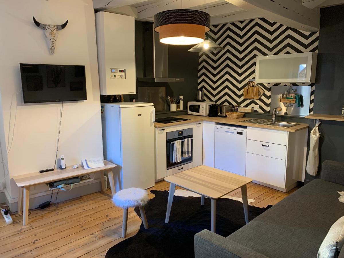 Bel Appartement, 2 Chambres, Annecy Coeur De Ville المظهر الخارجي الصورة